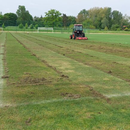 zabiegi pielęgnacyjne murawy